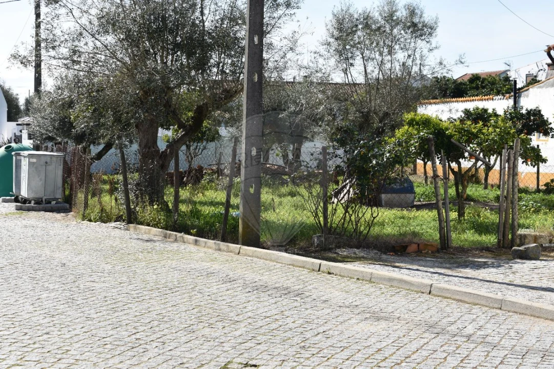 Moradia T1 para Venda em Benavila e Valongo Foto 4