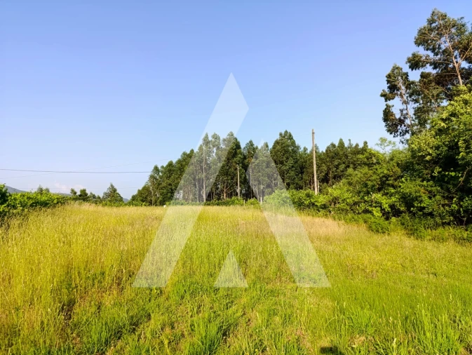 Terreno para Venda em Nogueira, Meixedo e Vilar de Murteda Foto 3