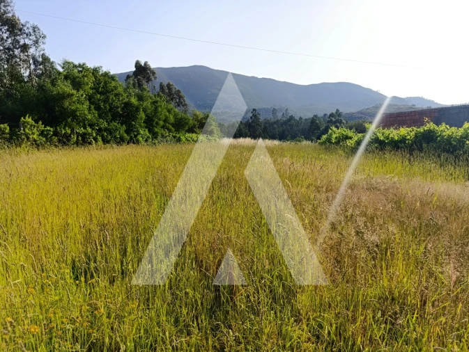 Terreno para Venda em Nogueira, Meixedo e Vilar de Murteda Foto 3