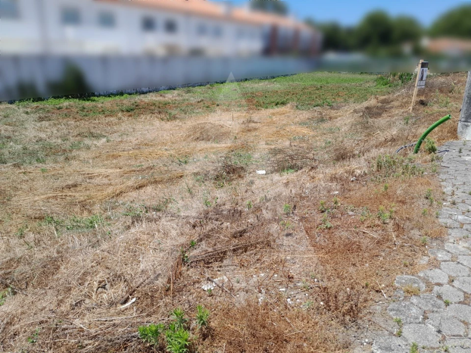 Terreno para Venda em Ílhavo (São Salvador) Foto 1