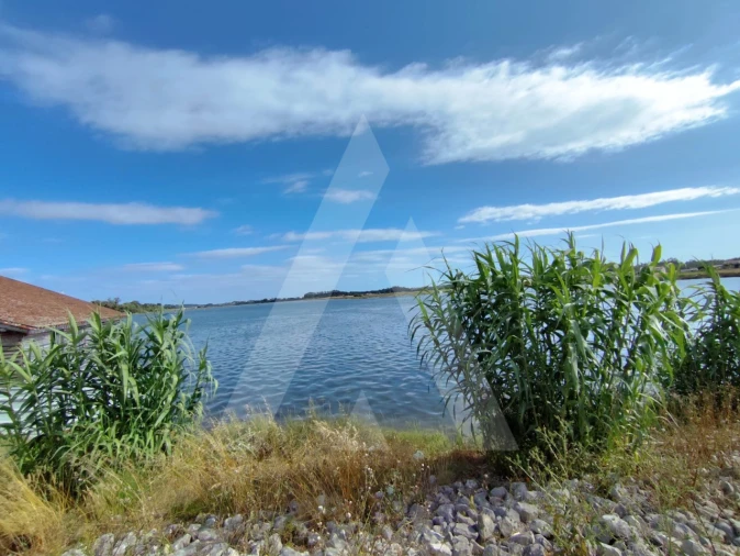 Terreno para Venda em Ílhavo (São Salvador) Foto 8