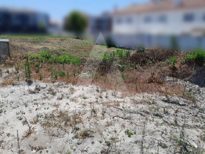 Terreno para Venda em Ílhavo (São Salvador) Foto 2