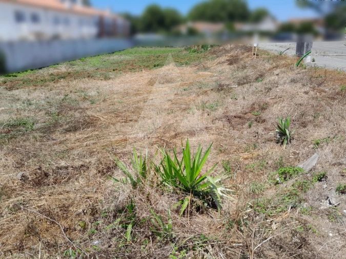 Terreno para Venda em Ílhavo (São Salvador) Foto 3