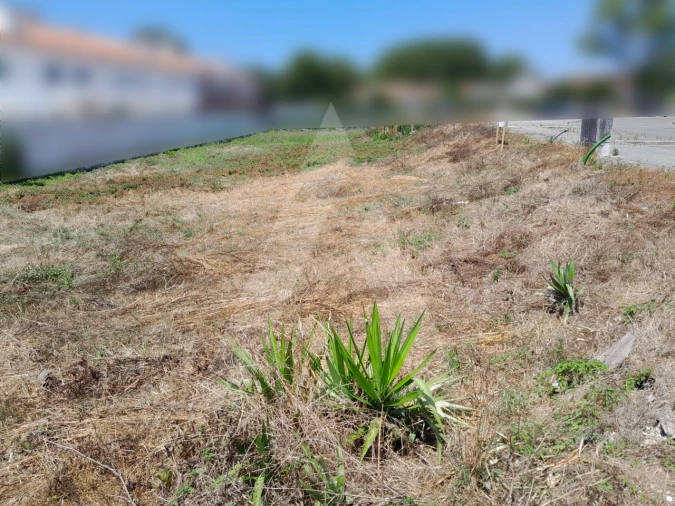 Terreno para Venda em Ílhavo (São Salvador) Foto 5