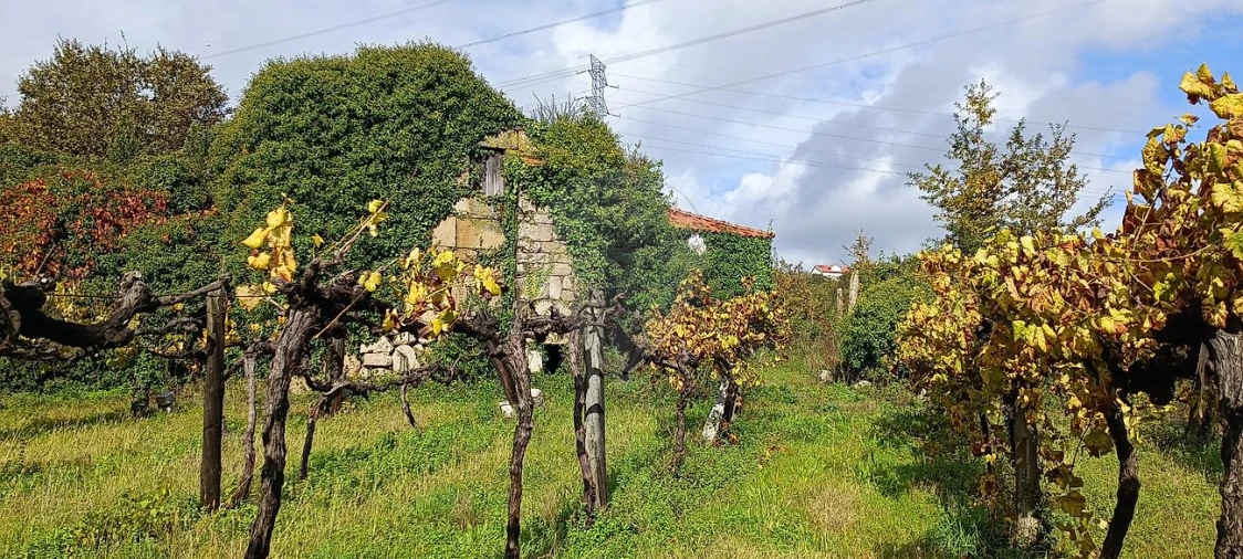 Moradia T3 para Venda em Abragão Foto 8