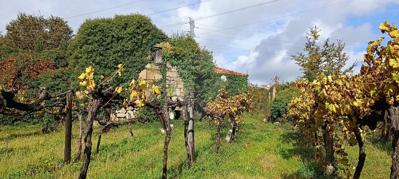 Moradia T3 para Venda em Abragão Foto 8