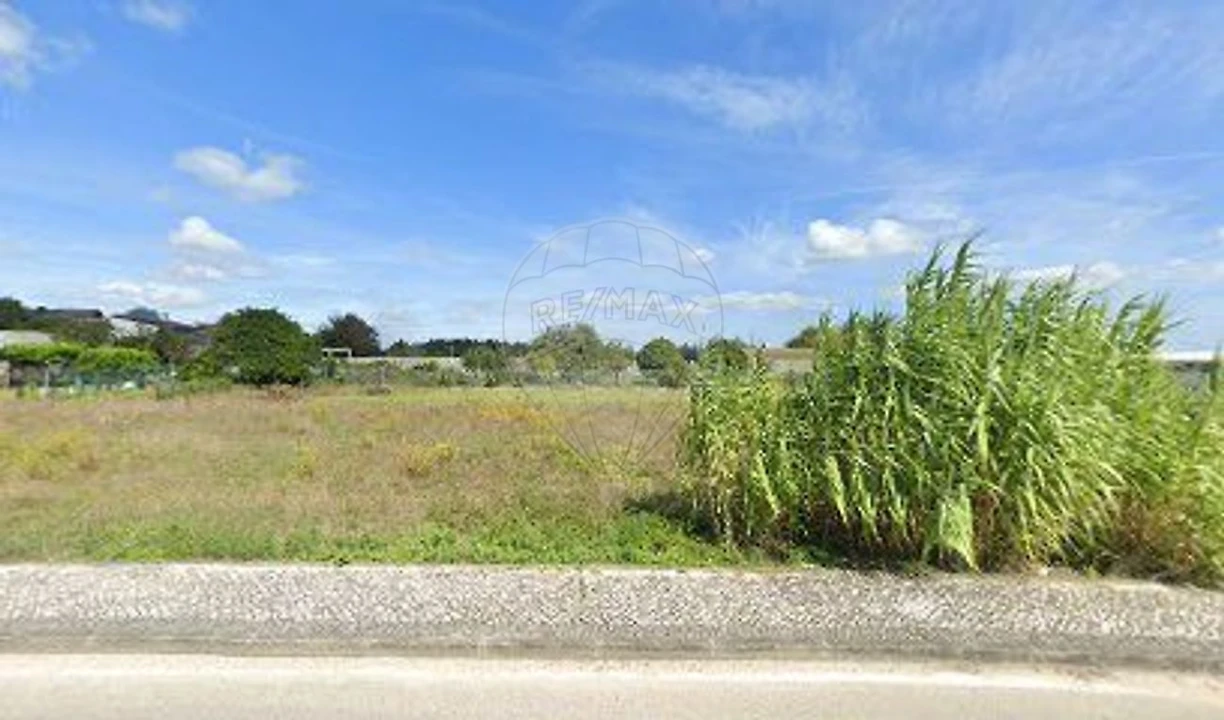 Terreno para Venda em Paião Foto 4