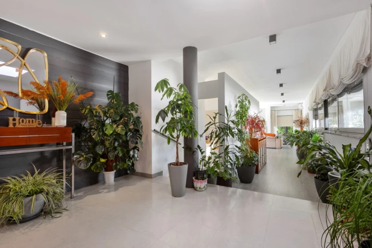 Moradia T4 para Venda em Santa Maria do Castelo e Santiago e Santa Susana Foto 7