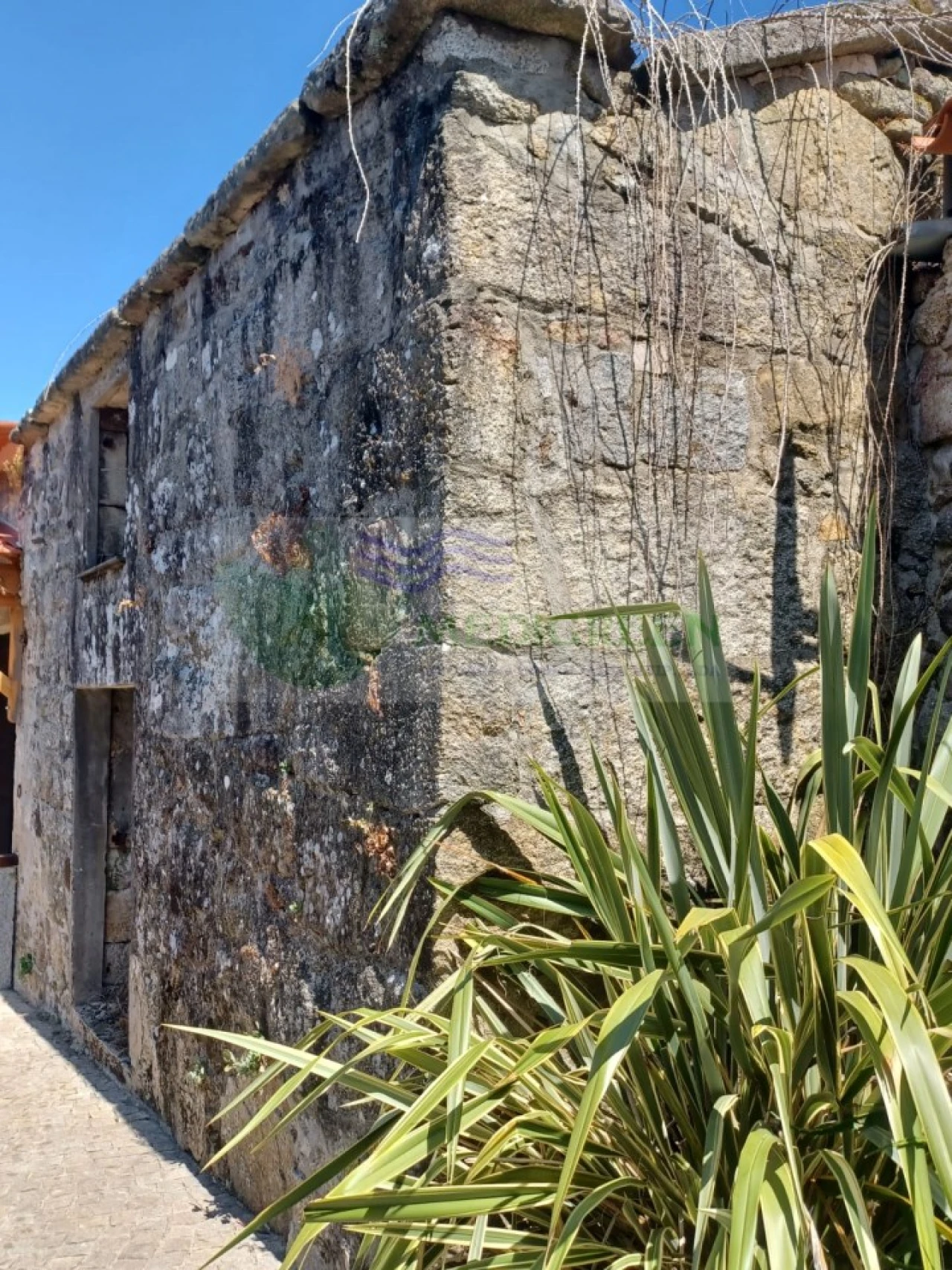 Moradia para Venda em Ribeiradio Foto 3