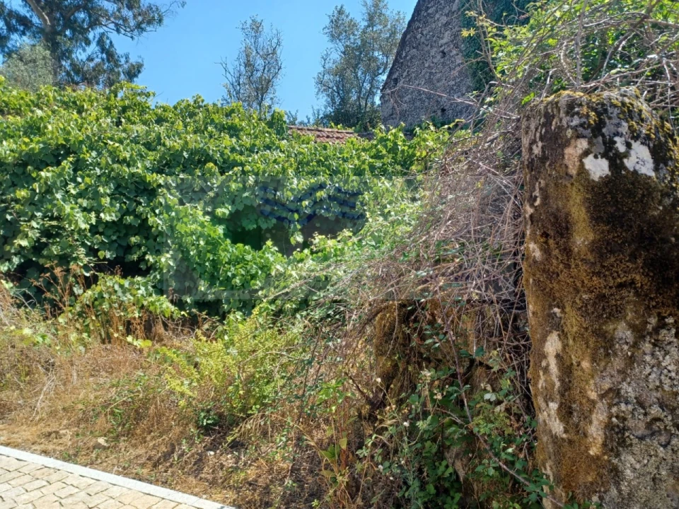 Moradia para Venda em Ribeiradio Foto 10