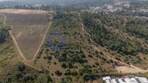 Terreno para Venda em Sé Nova, Santa Cruz, Almedina e São Bartolomeu