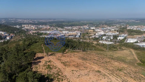 Terreno para Venda em Sé Nova, Santa Cruz, Almedina e São Bartolomeu