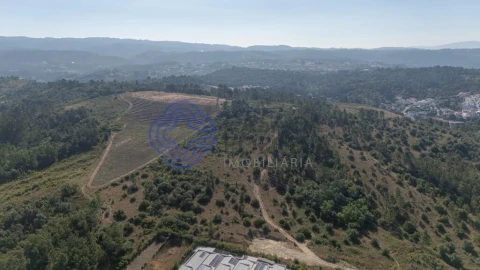 Terreno para Venda em Sé Nova, Santa Cruz, Almedina e São Bartolomeu