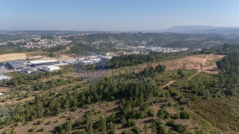 Terreno para Venda em Sé Nova, Santa Cruz, Almedina e São Bartolomeu