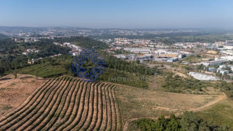 Terreno para Venda em Sé Nova, Santa Cruz, Almedina e São Bartolomeu