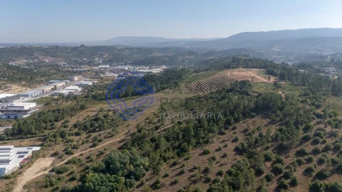 Terreno para Venda em Sé Nova, Santa Cruz, Almedina e São Bartolomeu