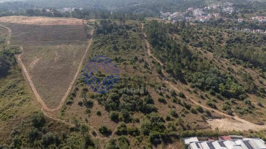 Terreno para Venda em Sé Nova, Santa Cruz, Almedina e São Bartolomeu Foto 17