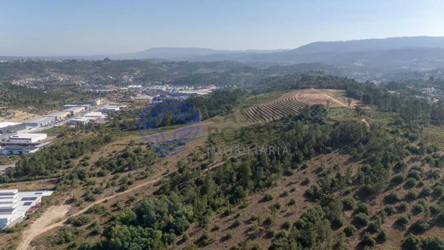Terreno para Venda em Sé Nova, Santa Cruz, Almedina e São Bartolomeu Foto 12