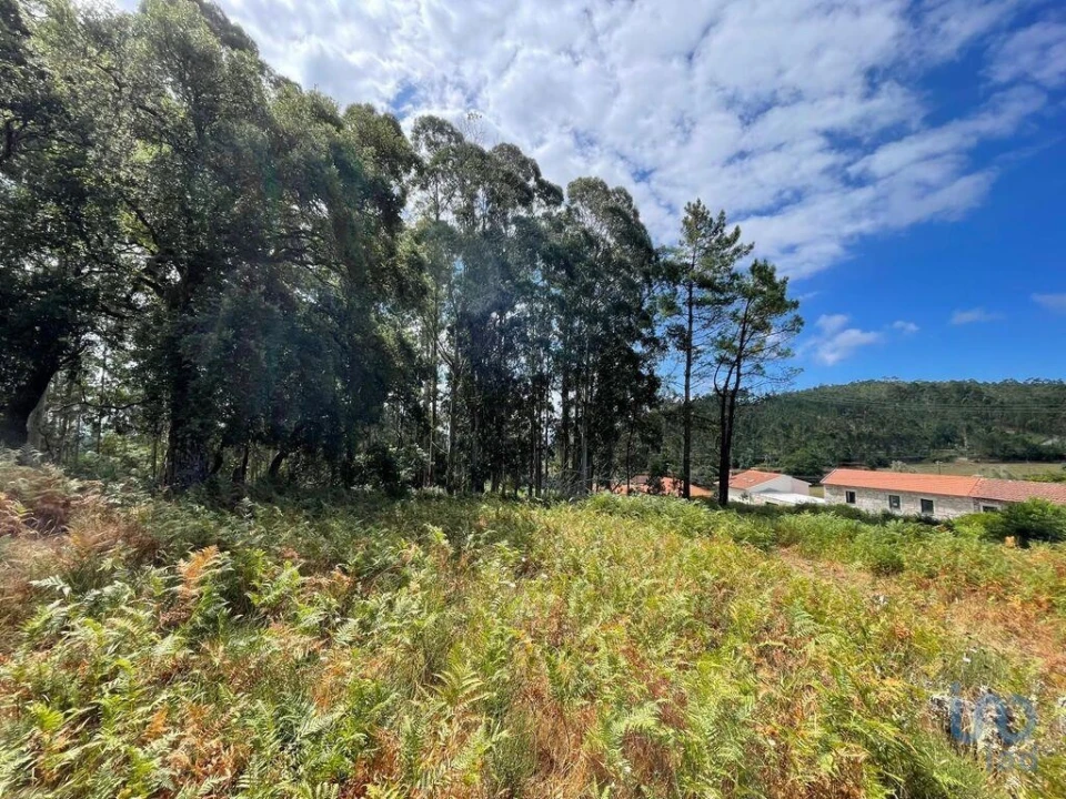 Terreno para Venda em Palmeira de Faro e Curvos Foto 6
