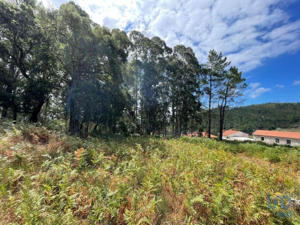 Terreno para Venda em Palmeira de Faro e Curvos Foto 7