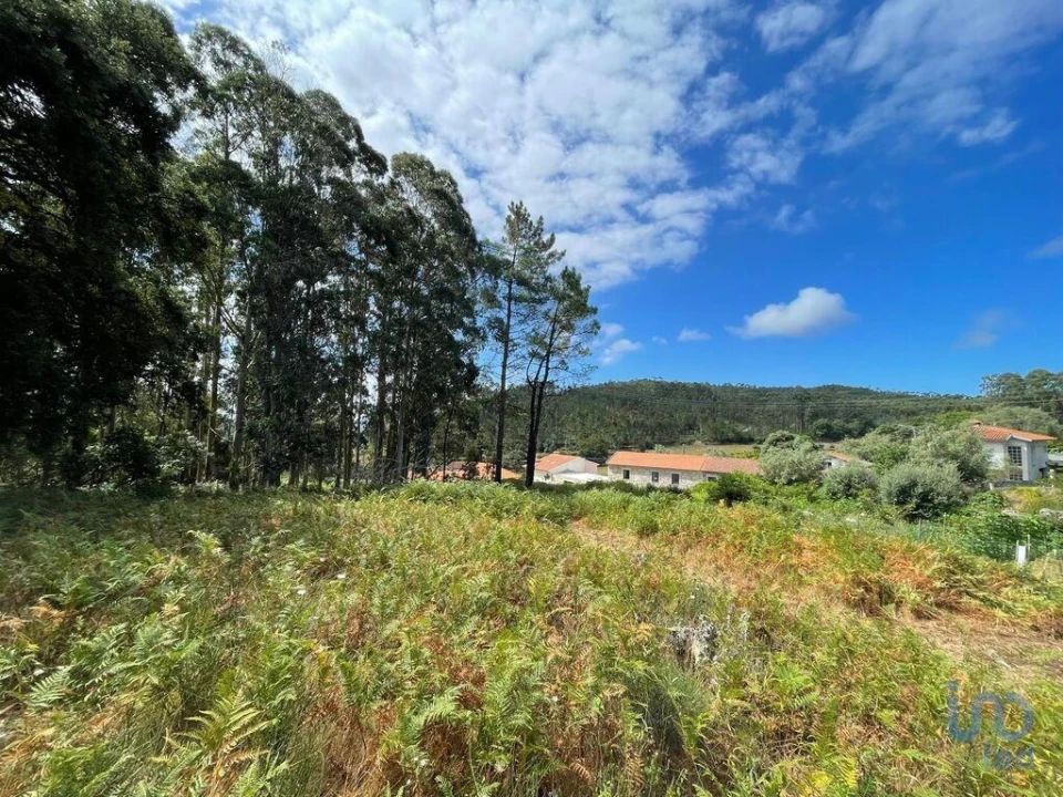 Terreno para Venda em Palmeira de Faro e Curvos Foto 9