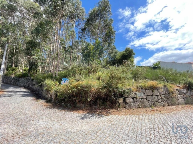 Terreno para Venda em Palmeira de Faro e Curvos Foto 14