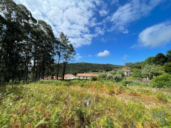 Terreno para Venda em Palmeira de Faro e Curvos Foto 8