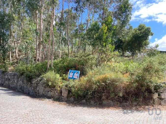 Terreno para Venda em Palmeira de Faro e Curvos Foto 12