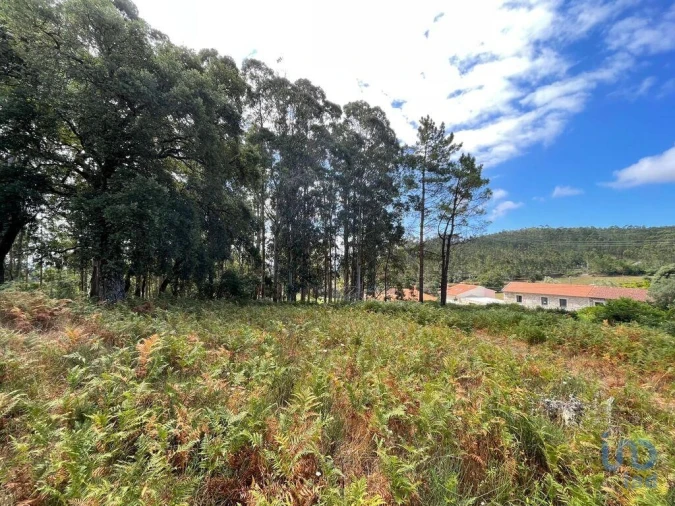 Terreno para Venda em Palmeira de Faro e Curvos