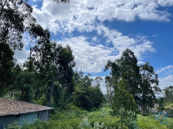 Terreno para Venda em Palmeira de Faro e Curvos Foto 2