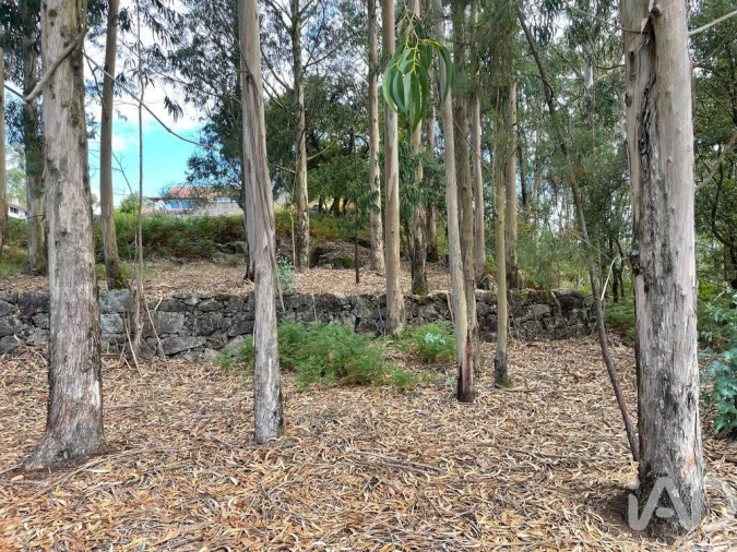 Terreno para Venda em Palmeira de Faro e Curvos Foto 15