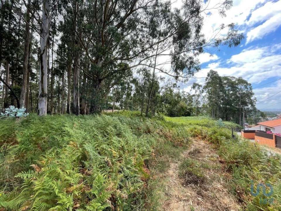 Terreno para Venda em Palmeira de Faro e Curvos Foto 4
