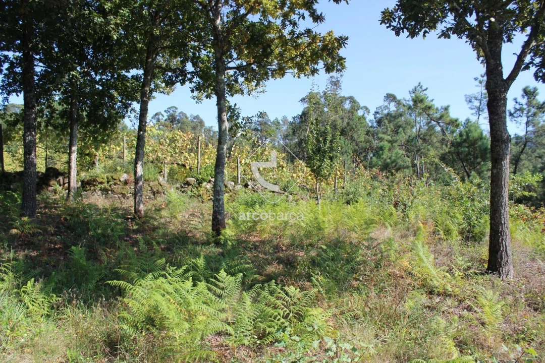 Terreno para Venda em Oliveira Foto 6