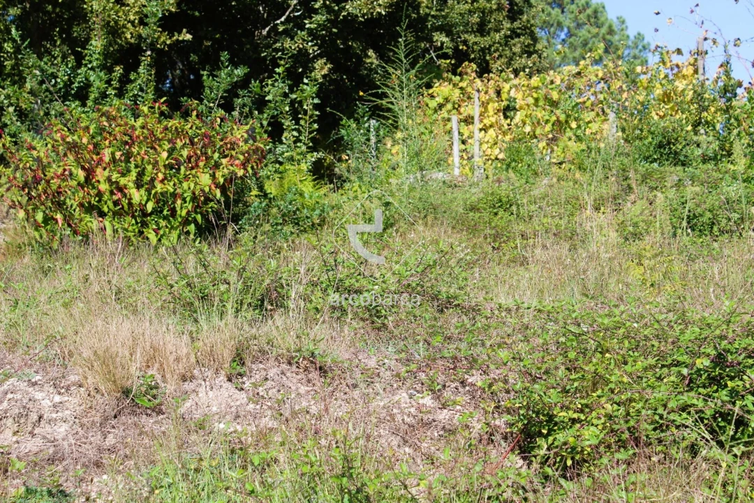 Terreno para Venda em Oliveira Foto 7