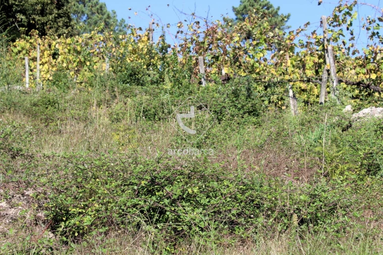 Terreno para Venda em Oliveira Foto 7