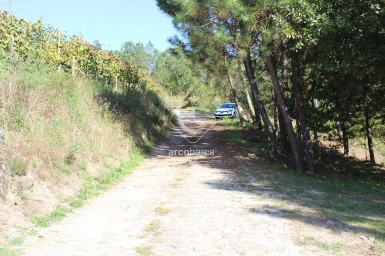Terreno para Venda em Oliveira Foto 18
