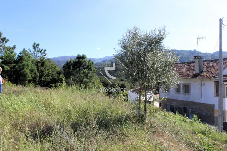 Terreno para Venda em Oliveira Foto 14