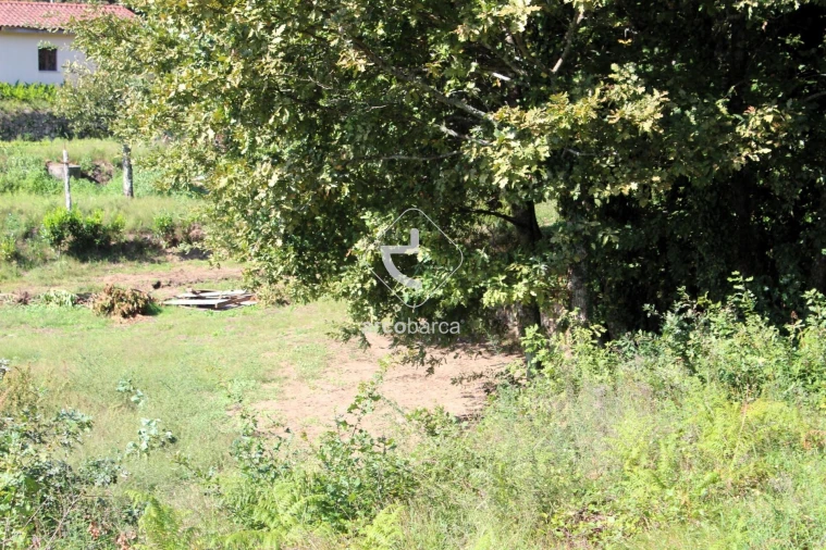 Terreno para Venda em Oliveira Foto 20