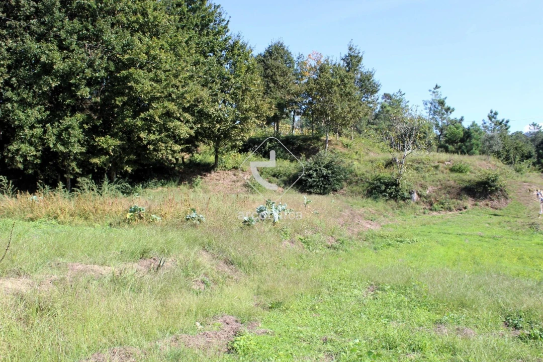 Terreno para Venda em Oliveira Foto 21