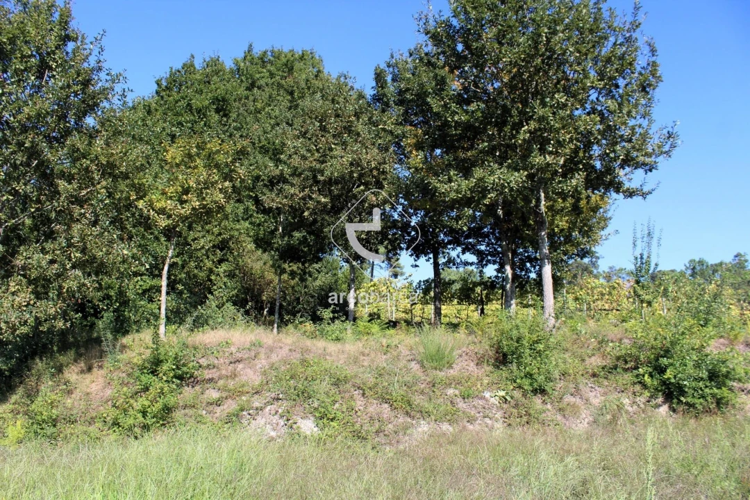 Terreno para Venda em Oliveira Foto 3