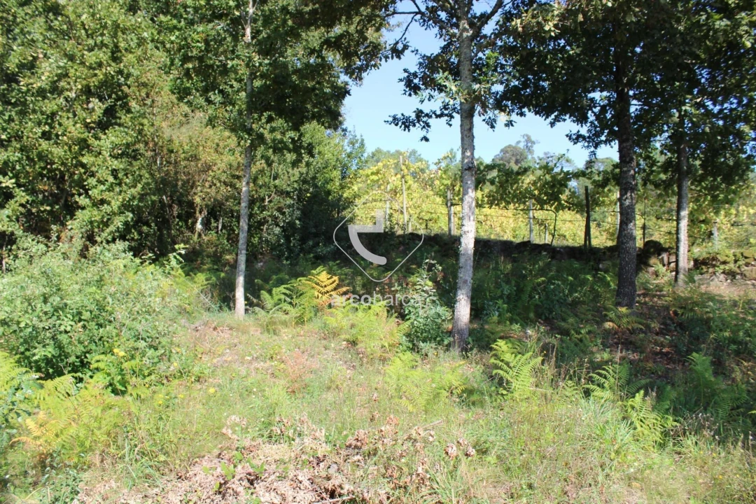 Terreno para Venda em Oliveira Foto 23