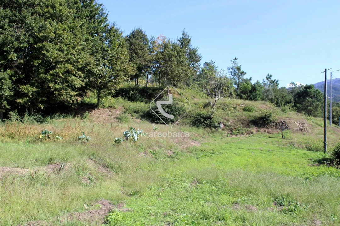 Terreno para Venda em Oliveira Foto 2
