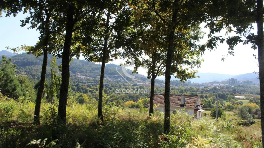 Terreno para Venda em Oliveira