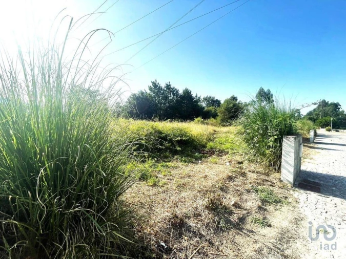 Terreno para Venda em Mujães Foto 4