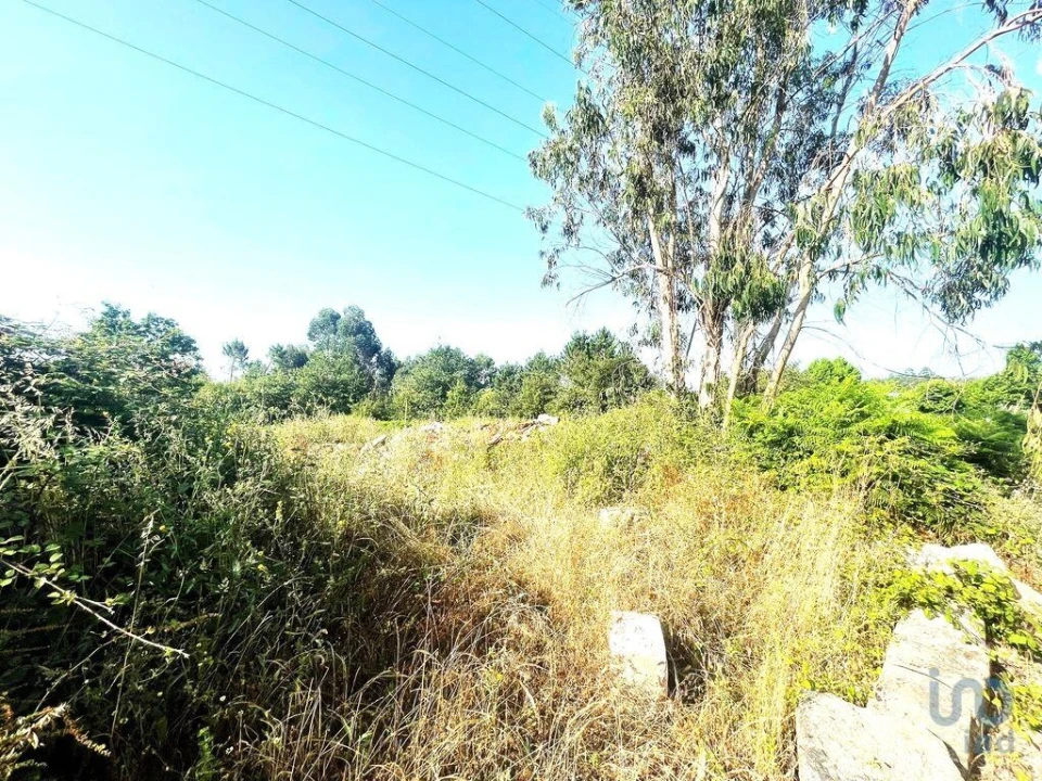 Terreno para Venda em Mujães Foto 5