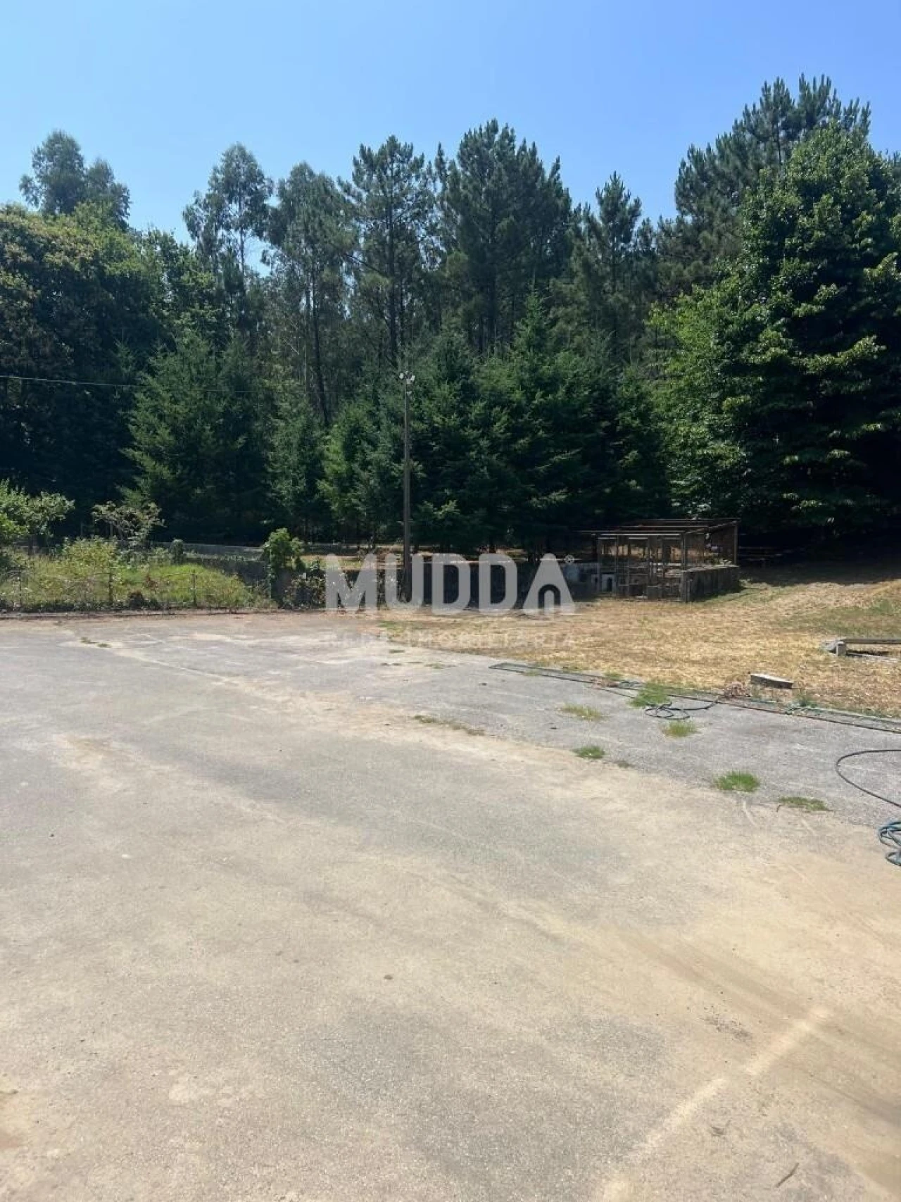 Armazém para Venda em Cesar Foto 15