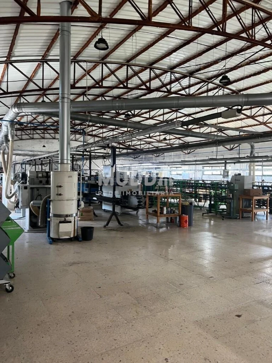 Armazém para Venda em Cesar