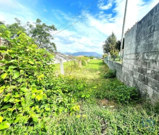 Terreno para Venda em Geraz do Lima (Santa Maria, Santa Leocádia, Moreira), Deão