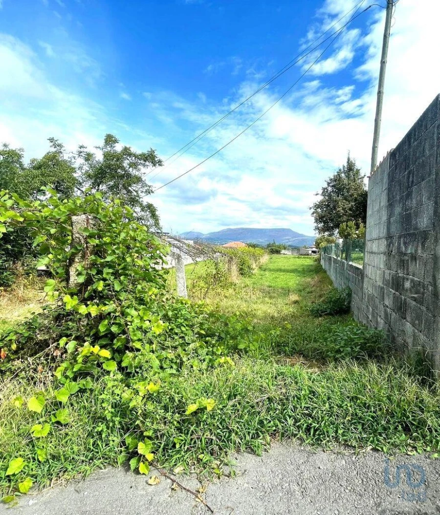 Terreno para Venda em Geraz do Lima (Santa Maria, Santa Leocádia, Moreira), Deão Foto 3