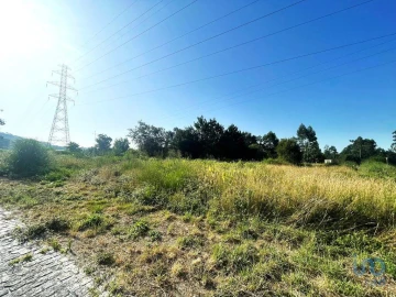 Terreno para Venda em Mujães